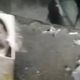 Captura de pantalla del vídeo en el que un hombre hace prácticas de tiro con imágenes de miembros del Gobierno.