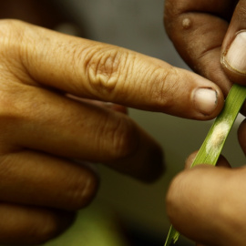 Foto: Anton Muhajir / CC BY-NC 2.0