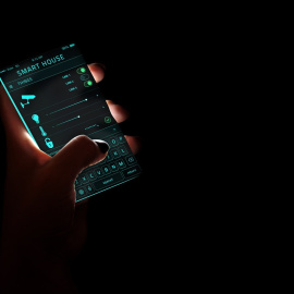  La IoT es otra de las tecnologías que ha caído en la exageración. - Pixabay