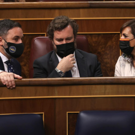  El presidente de Vox, Santiago Abascal (i), junto al portavoz parlamentario del partido, Iván Espinosa de los Monteros (cc), durante el pleno del Congreso que se celebra este martes.- EFE / Kiko Huesca
