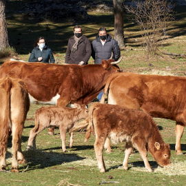  Pablo Casado, acompañado por el presidente del PP de Ávila, durante la visita a una explotación ganadera de extensivo en Las Navas del Marqúes (Ávila).- Raúl Sanchidrián / EFE