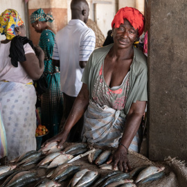  Mercado de pescado en Gambia. Tim Webster/Reelmedia Film