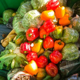  Shutterstock / joerngebhardt68