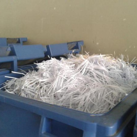 trituCGLSTSVWYAAkELs