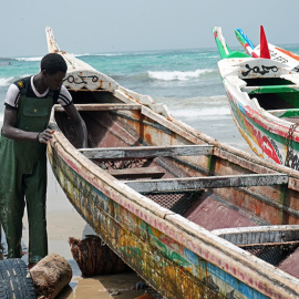  En los meses de recolección sobran mangos y se pierden. Boubacar Camara, líder de la oposición, plantea el programa “Construir el futuro“, como generar una economía inclusiva con la transformación de alimentos. Foto: Mar Joaniquet