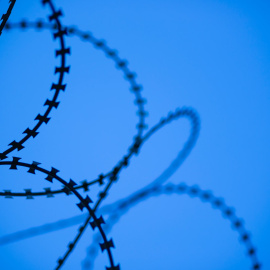  Fotografía: engin akyurt / Unsplash