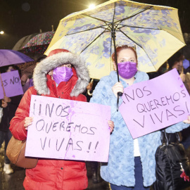 Dos mujeres participan enla manifestación del 25N contra la violencia machista, en Santander. EUROPA PRESS/Juan Manuel Serrano Arce