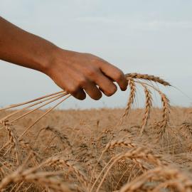  Foto de Paz Arando en Unsplash 