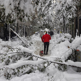  Varias personas pasean por la calle Fuencarral en Madrid, en la que numerosos árboles no han resistido el peso de la nieve. — Rodrigo Jiménez / EFE