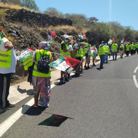  La Marcha Saharaui durante una de sus numerosas etapas. - Marcha Saharaui