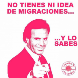  Tumba a tu cuñao en Navidades con migraciones. Creación de la Fundación porCausa