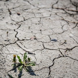  Imagen de archivo de un terreno yermo.- REUTERS