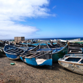 noticias migraciones