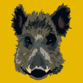 Ilustración de un Jabalí. -Pixabay