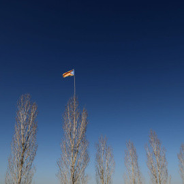 Banderas estelades colocadas en las copas  copas de los árboles en las afueras de Verges (Girona). REUTERS / Goran Tomasevic