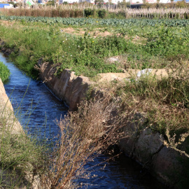  Canal de reg al riu Llobregat. — Gemma Sánchez / ACN