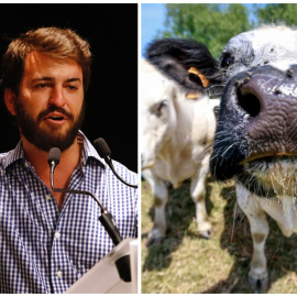 A la izquierda una imagen de Europa Press del vicepresidente de Castilla y León, Juan García-Gallardo (EUROPA PRESS). A la derecha Vista de un grupo de vacas en una granja (EFE)
