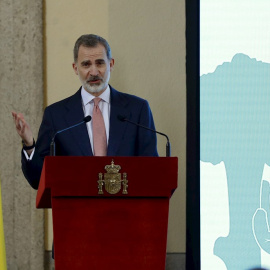 Fotografía de archivo de Felipe VI. - EFE