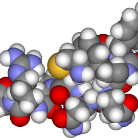 Modelo tridimensional de la Hormona Antidiurética (Wikimedia Commons)
