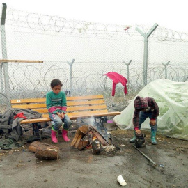  (Fotografía: Principia Marsupia)