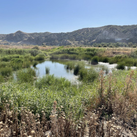  Imagen de las lagunas de Soto Gutiérrez, que estaban protegidas y han sido desecadas. CEDIDA