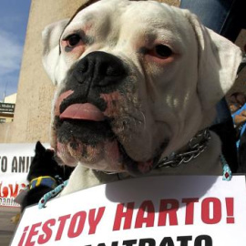 Imagen de archivo de una manifestación en contra del maltrato animal/EFE