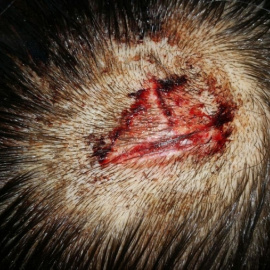  Crédito de la fotografía: Médicos Sin Fronteras