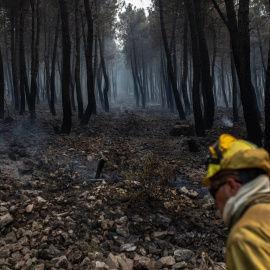  Un bombero trabaja en la extinción del incendio en la Sierra Culebra , a 16 de junio de 2022, en Zamora, Castilla y León, (España). EUROPA PRESS