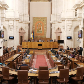 Pleno de la Diputación Permanente del Parlamento de Andalucía. Europa Press