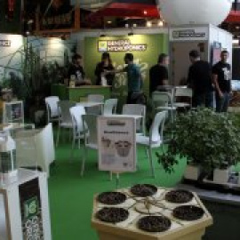 El boom del cànnabis: entre l'ús terapèutic i el negoci 'caçaturistes'