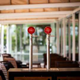 Damm regalará más de 3,5 millones de litros de cerveza a sus clientes cuando abran