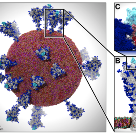 Fuente: https://journals.sagepub.com/doi/pdf/10.1177/10943420211006452