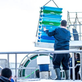 La covid-19 ahoga al sector pesquero. EUROPA PRESS/Archivo