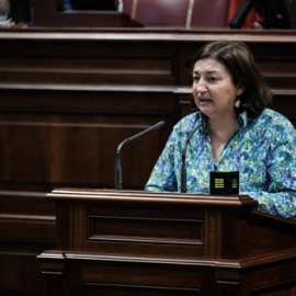María José Guerra, exconsejera de Educación del Gobierno de Canarias. Pepe Torres/Europa Press