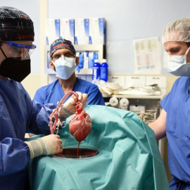  University of Maryland