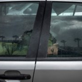 La ONU condena a España por declarar como adultos a dos menores migrantes y dejarlos en desamparo