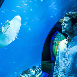 Nacho Dean en el Atlantis Aquarium de Madrid. / Álvaro Muñoz Guzmán (SINC)