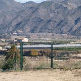 Una plantación de cannabis para eliminar la contaminación nuclear de Palomares