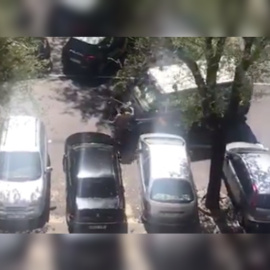 Un momento del vídeo.