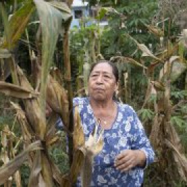 El encierro dispara la violencia contra las mujeres en América Latina