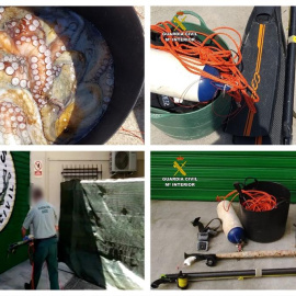 Detenido por saltarse el confinamiento para practicar pesca furtiva tras jactarse en las redes sociales. / EP - GUARDIA CIVIL