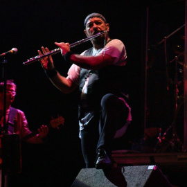  Ian Anderson, en un concierto en Oxfordshire (Reino Unido) en 2004. WIKIPEDIA / Brian Marks