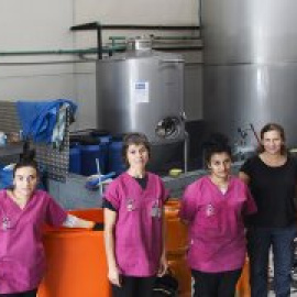 Mulleres colleiteiras: el círculo de la economía social