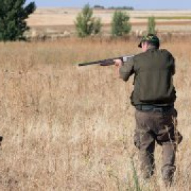 El Gobierno permitirá cazar en Fase 1 a partir del lunes