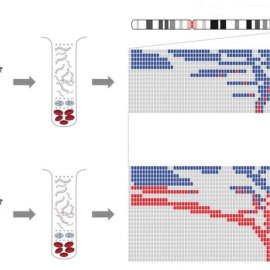 Detección del cáncer