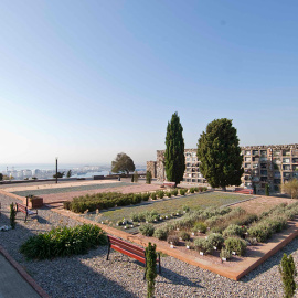 Una imatge del cementiri de Montjuïc. AJUNTAMENT DE BARCELONA.