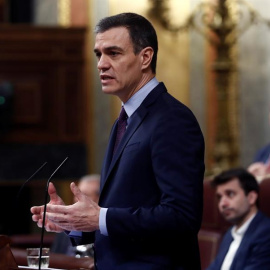 El presidente del Gobierno, Pedro Sánchez, durante su comparecencia este miércoles en el Congreso de los Diputados. EFE