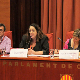 Carlos Enrique Bayo i Patricia López declaren a la Comissió d'Investigació del Parlament sobre l'anomenada 'Operació Catalunya'