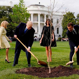 Trump y Macron plantan el roble que simbolizaba su amistad delante de la Casa Blanca en abril de 2018. (JOSHUA ROBERTS | REUTERS)
