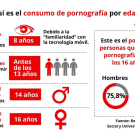 Algunas de las principales conclusiones del estudio  'Nueva pornografía y cambios en las relaciones interpersonales'. (EP)